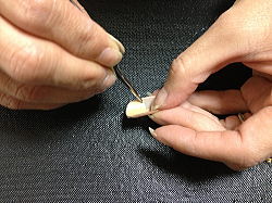 ���悢��܂ɑ������܂�1