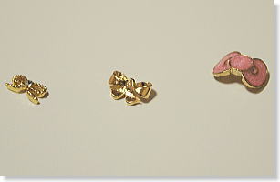 �l�C���@�⋭�̃C���[�W